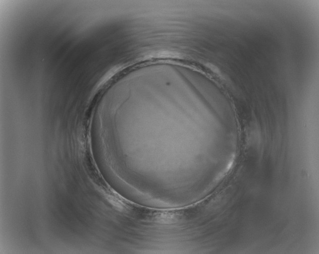 X0000067891266200604171328