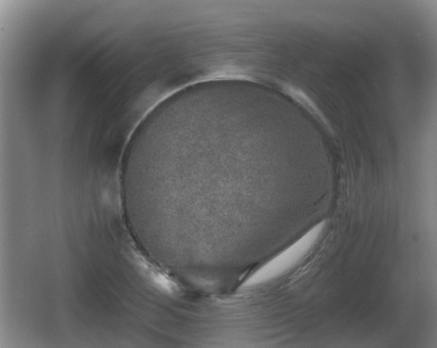 X0000067891268200604171328