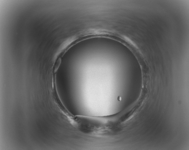 X0000067891269200604171328