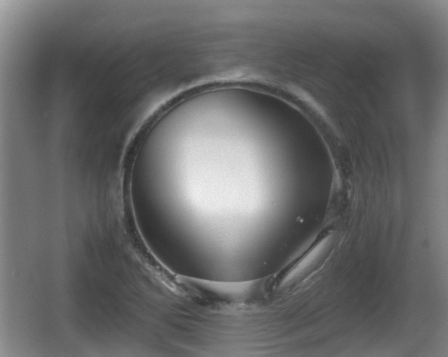 X0000067891270200604171328