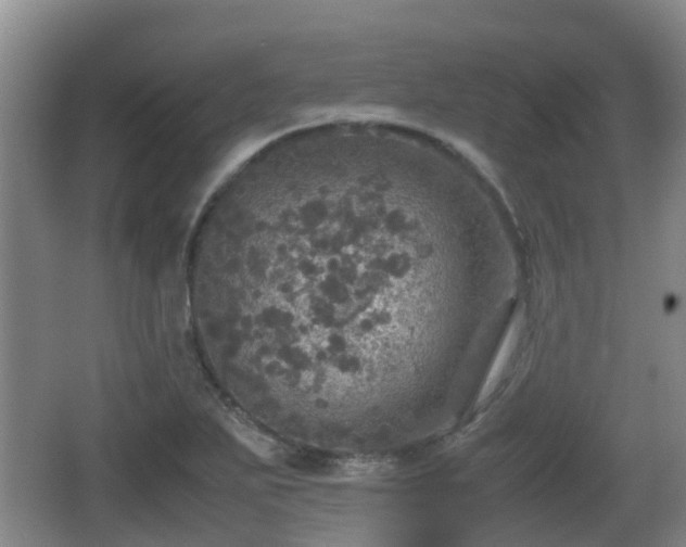 X0000067891271200604171328