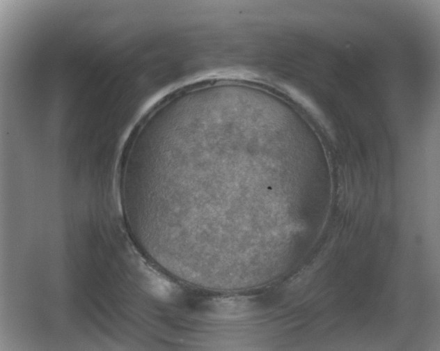 X0000067891272200604171328