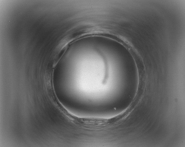 X0000067891273200604171328