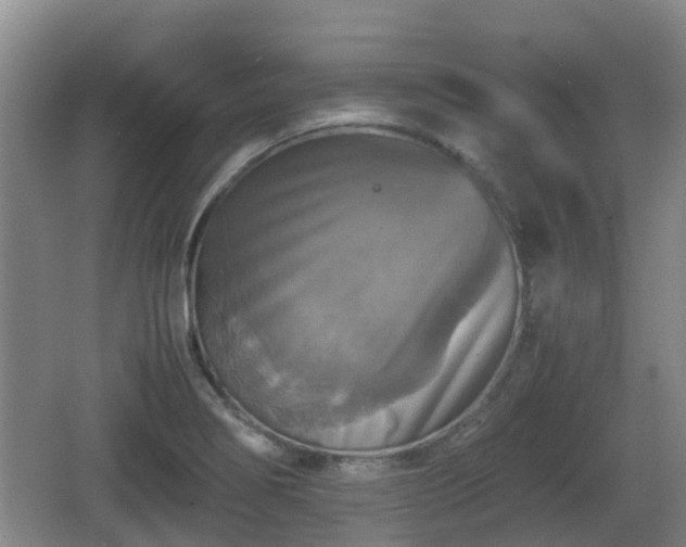 X0000067891274200604171328