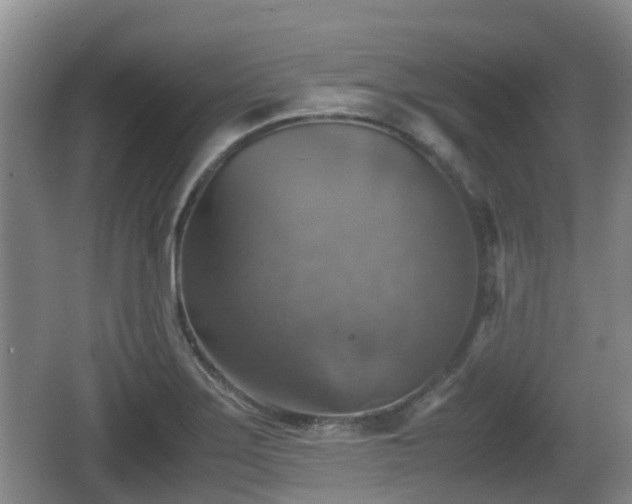 X0000067891275200604171328