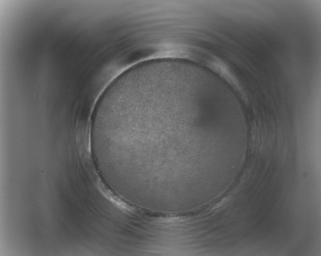 X0000067891276200604171328