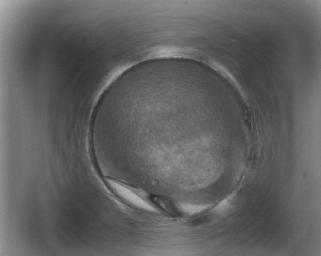 X0000067891277200604171328