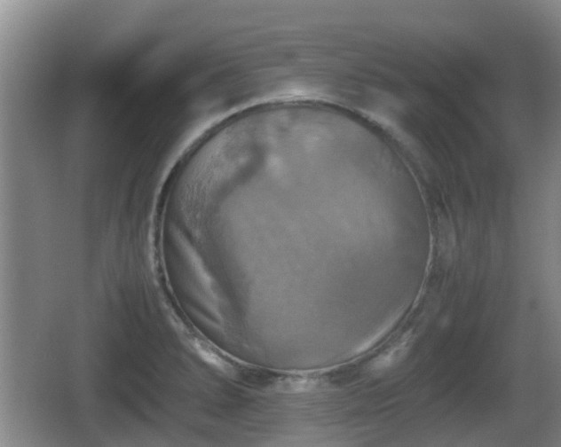 X0000067891278200604171328