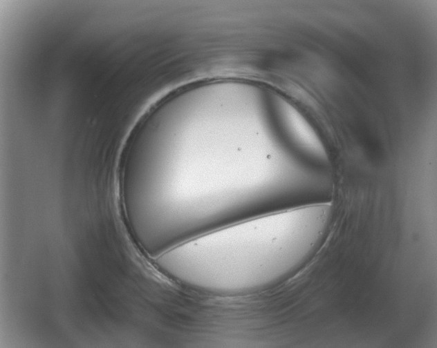 X0000067891280200604171328