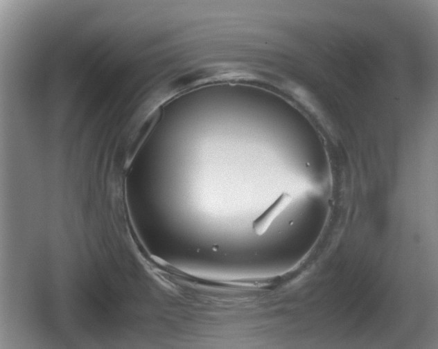 X0000067891281200604171328