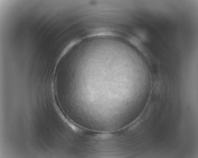 X0000067891282200604171327