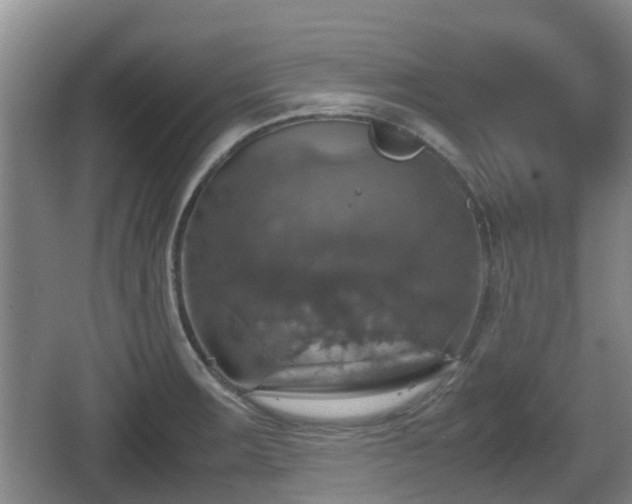 X0000067891283200604171327