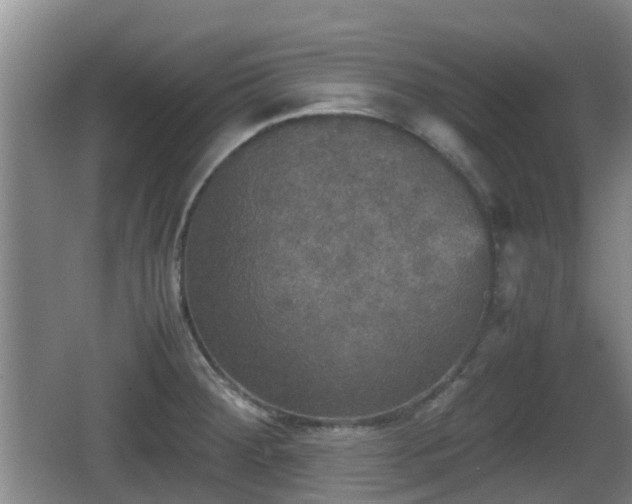 X0000067891284200604171327