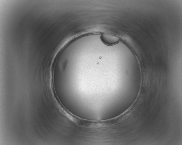 X0000067891286200604171327