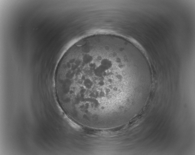 X0000067891287200604171327