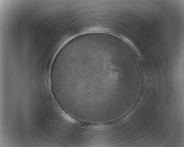 X0000067891288200604171327