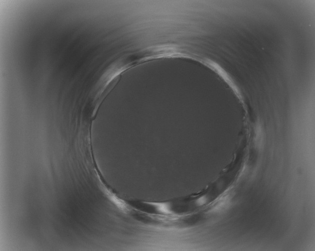 X0000067891289200604171327