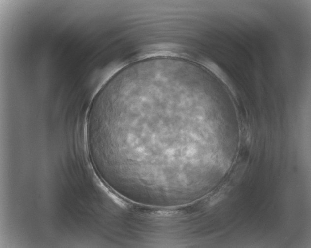 X0000067891290200604171327