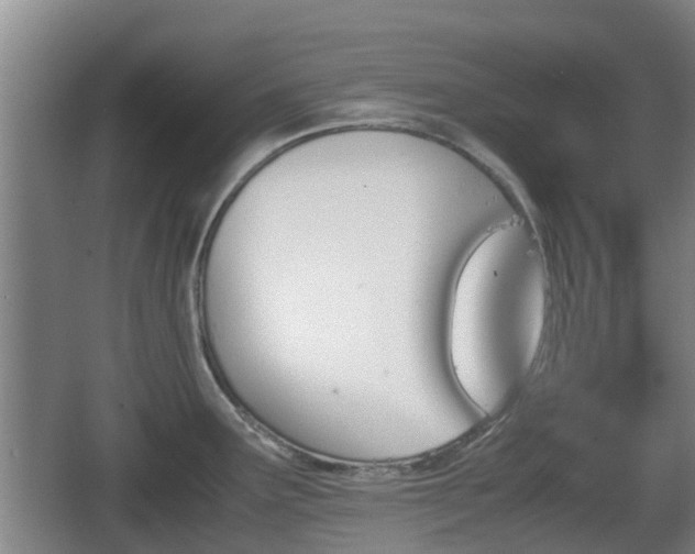 X0000067891291200604171327