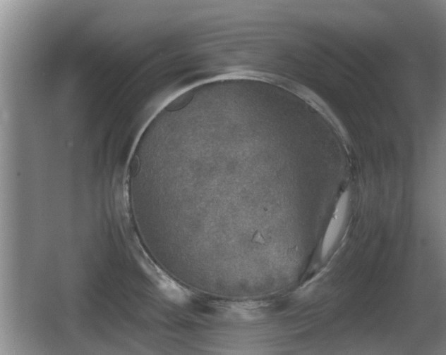 X0000067891292200604171327