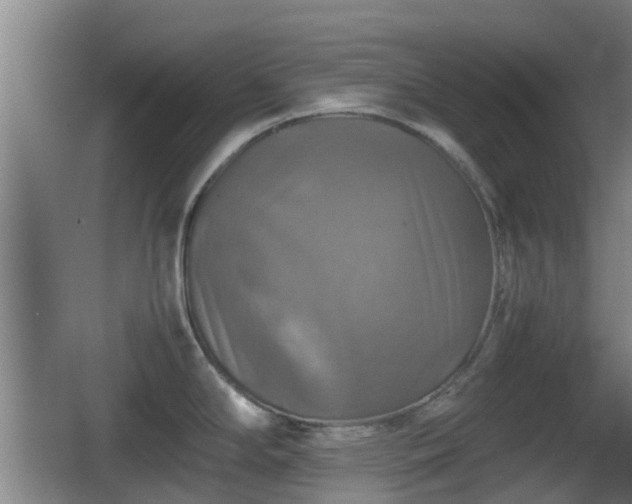 X0000067891294200604171327