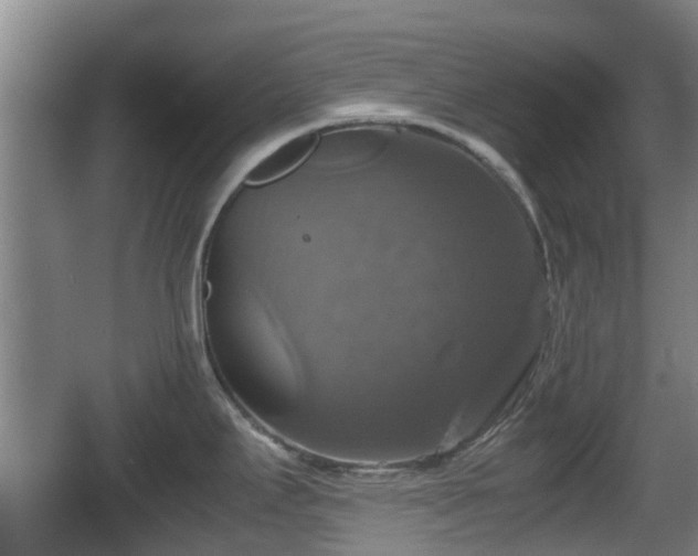 X0000067891295200604171327