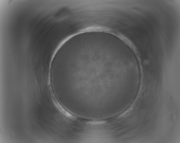 X0000067891296200604171327