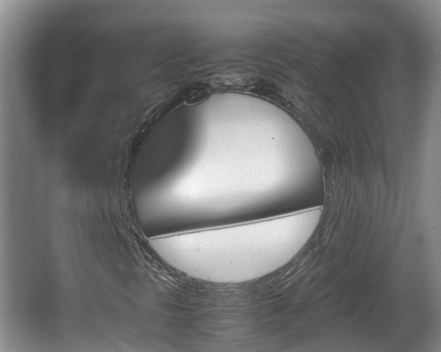 X0000067891297200604171326