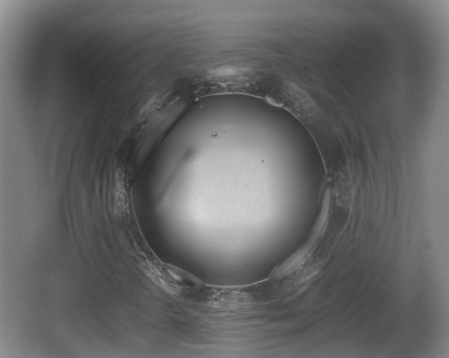 X0000067891298200604171326