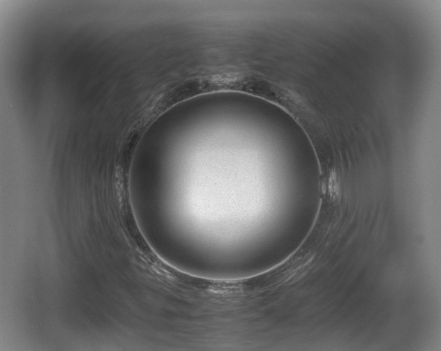 X0000067891299200604171326