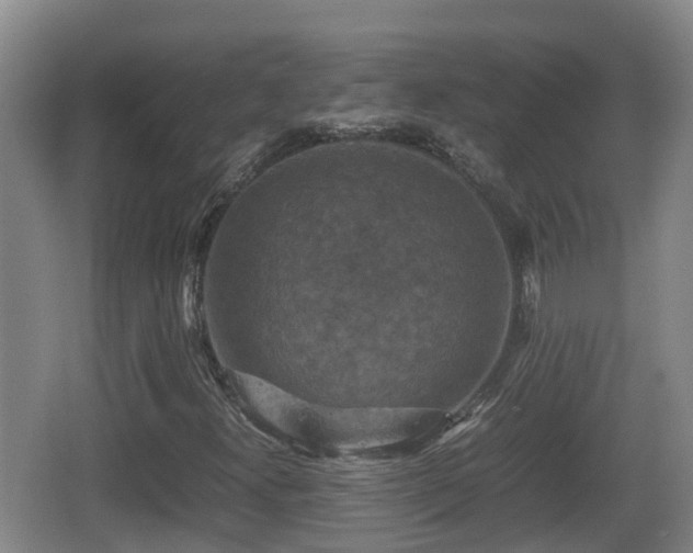 X0000067891300200604171326