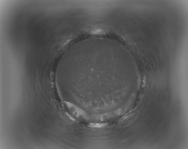 X0000067891301200604171327