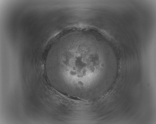 X0000067891302200604171327