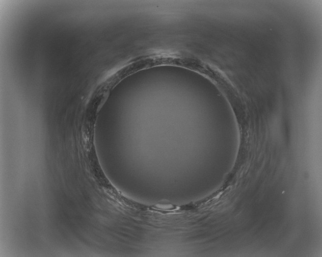 X0000067891303200604171327