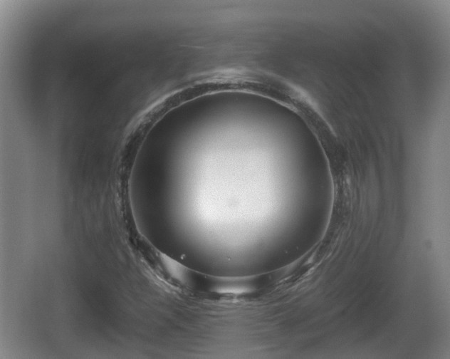 X0000067891304200604171327