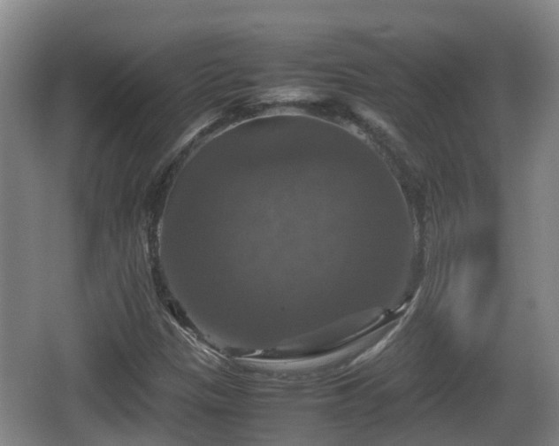 X0000067891305200604171327