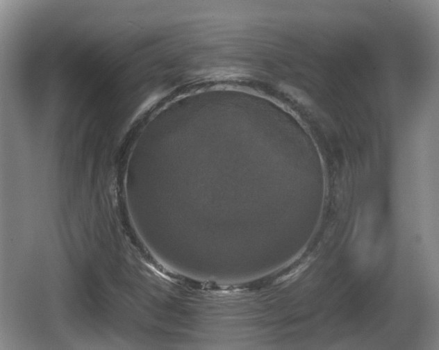 X0000067891306200604171327