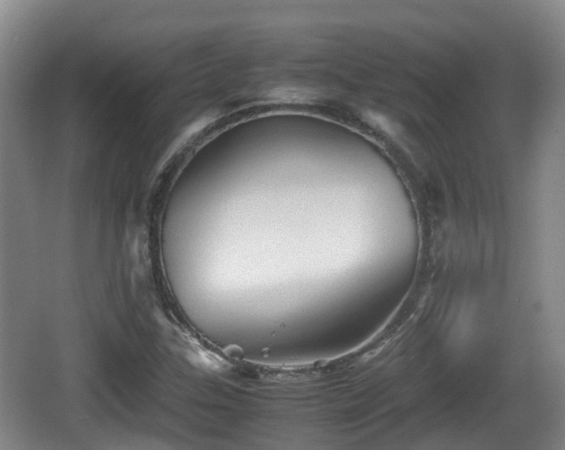 X0000067891307200604171327