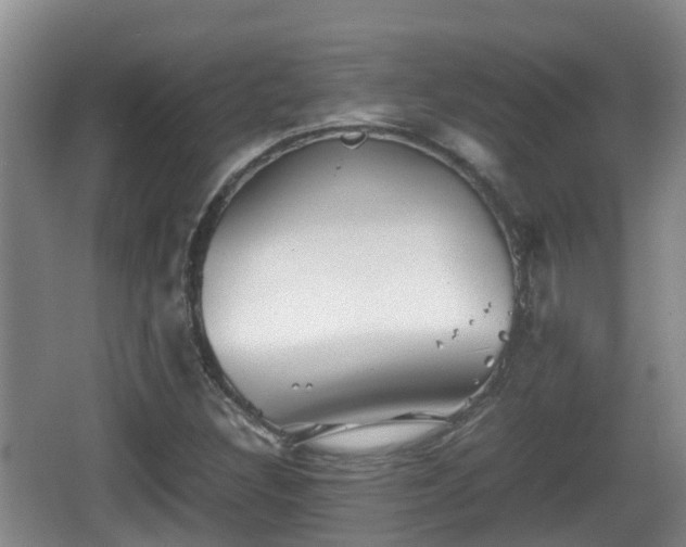 X0000067891308200604171327