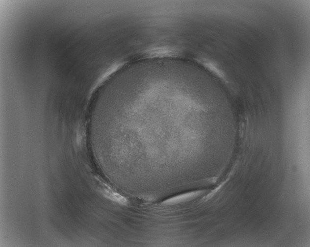 X0000067891309200604171327