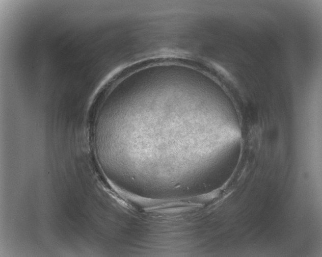 X0000067891310200604171327