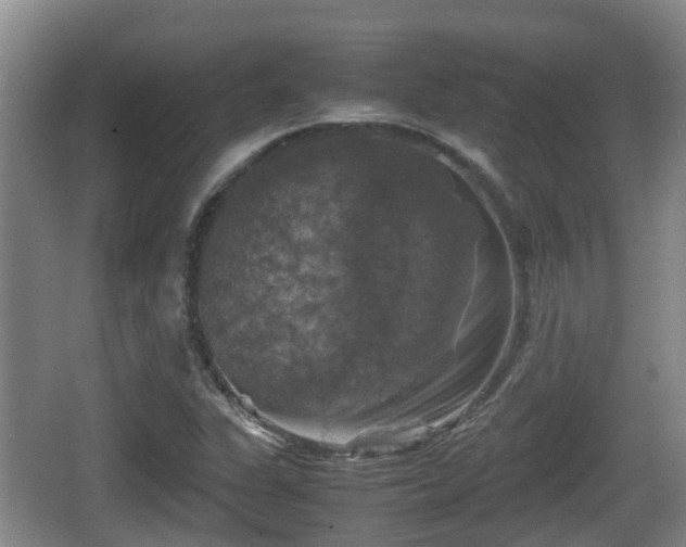 X0000067891311200604171327