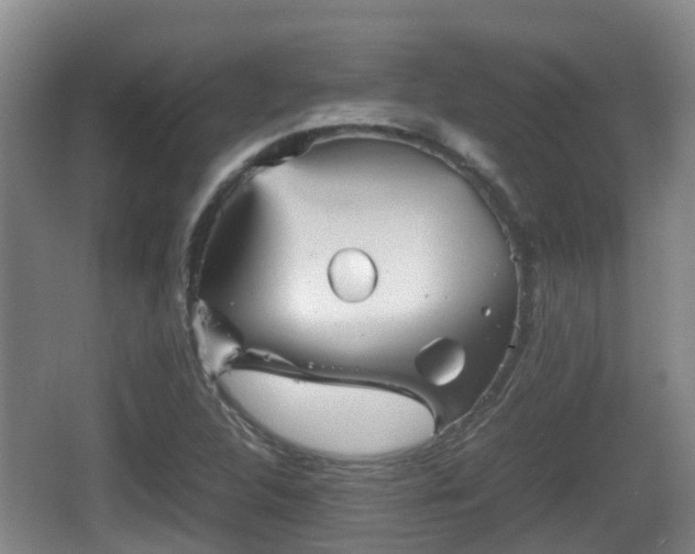 X0000067891312200604171327