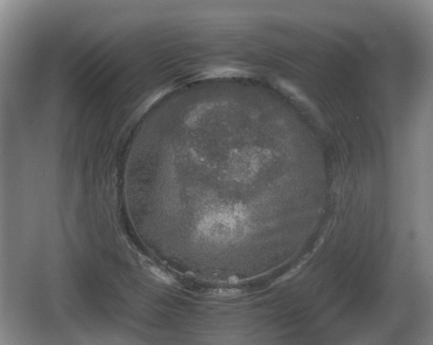 X0000067891313200604171327