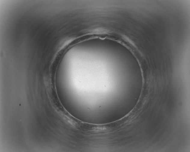 X0000067891315200604171327