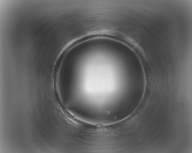 X0000067891316200604171327