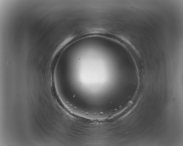 X0000067891317200604171327