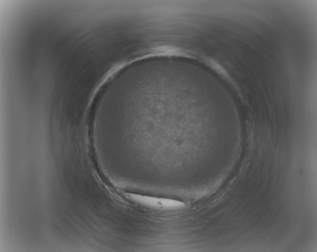 X0000067891318200604171327