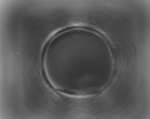 X0000067891319200604171327