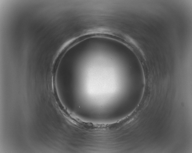 X0000067891320200604171327